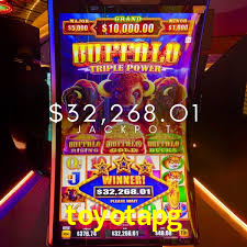 Basketball Betting toyotapg