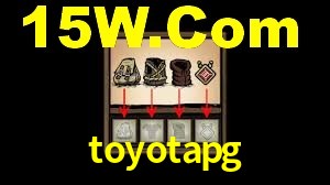 Programa VIP toyotapg
