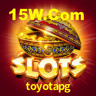 toyotapg App Interface
